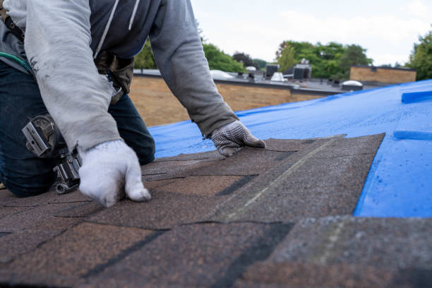 Sealant for Roof in Quincy, MI