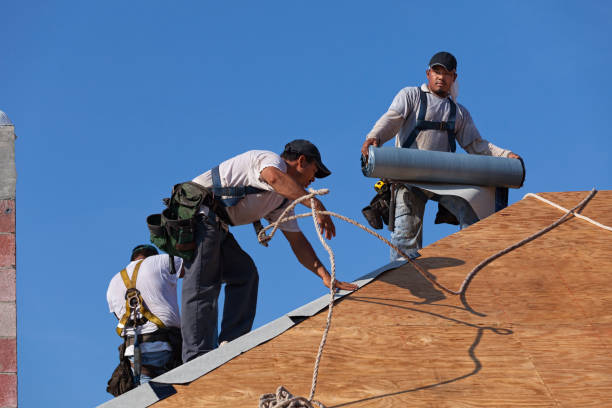 Best Roof Maintenance Services  in Quincy, MI