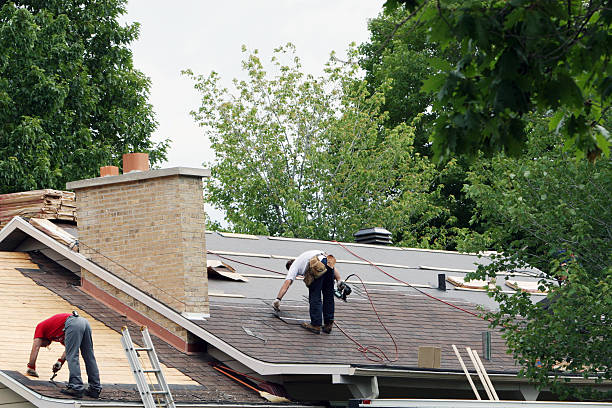 Best Roof Repair Services  in Quincy, MI