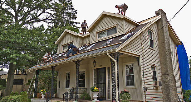 Best Shingle Roofing Installation  in Quincy, MI